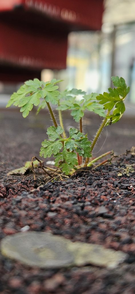 Fotokurs_09 – SPÖ Bludenz | Stadtorganisation Bludenz