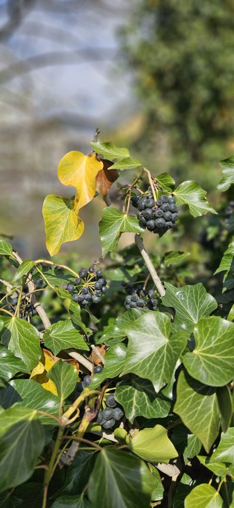 Fotokurs_08 – SPÖ Bludenz | Stadtorganisation Bludenz